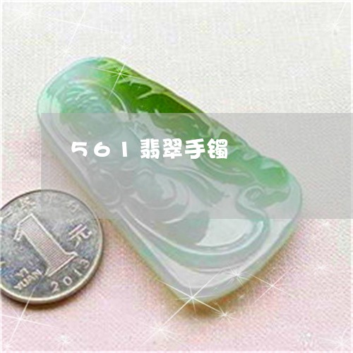 561翡翠手镯/2023022697381 561翡翠手镯/2023022697381