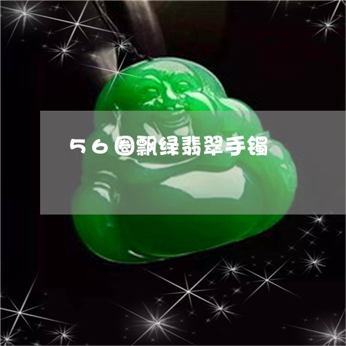 56圈飘绿翡翠手镯/2023060139361