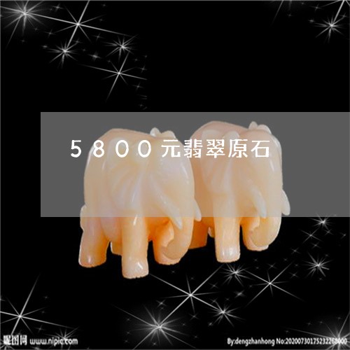 5800元翡翠原石/2023060149573