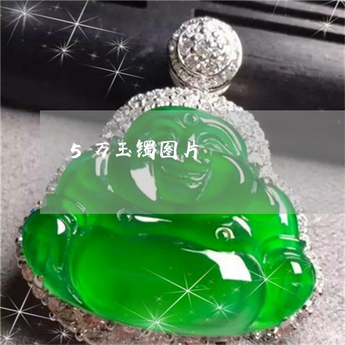 5万玉镯图片/2023032114139 5万玉镯图片/2023032114139
