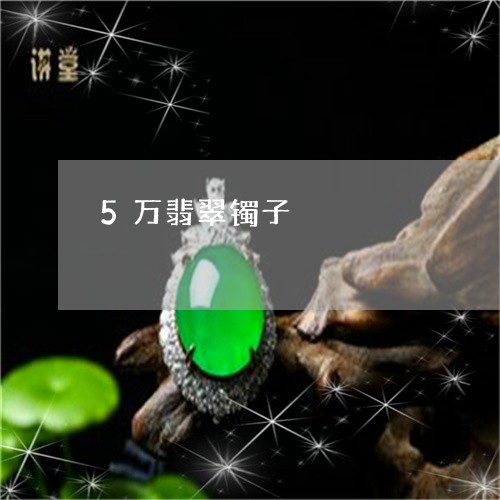 5万翡翠镯子/2023032113819 5万翡翠镯子/2023032113819