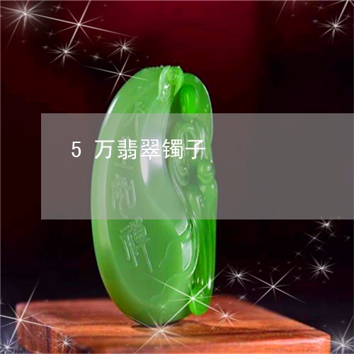 5万翡翠镯子/2023032148171 5万翡翠镯子/2023032148171