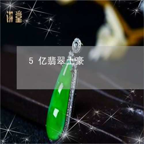 5亿翡翠土豪/2023032117058 5亿翡翠土豪/2023032117058