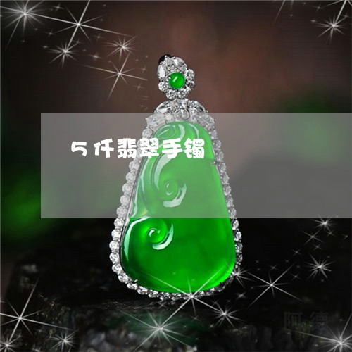 5仟翡翠手镯/2023032127270 5仟翡翠手镯/2023032127270