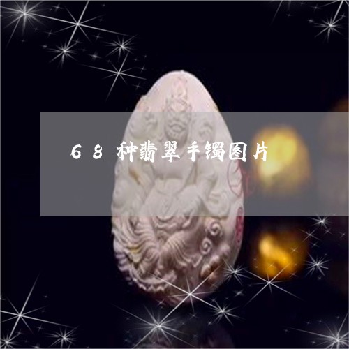 68种翡翠手镯图片/2023060171384