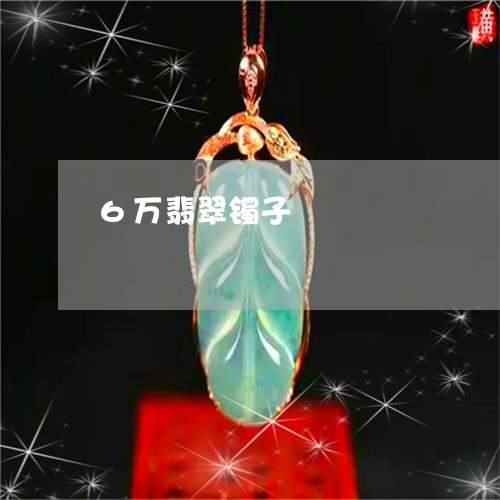 6万翡翠镯子/2023032120360 6万翡翠镯子/2023032120360