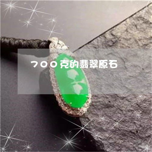 700克的翡翠原石/2023060187179