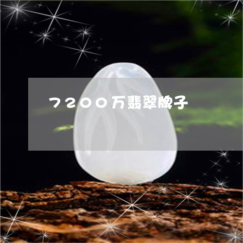 7200万翡翠牌子/2023061607269