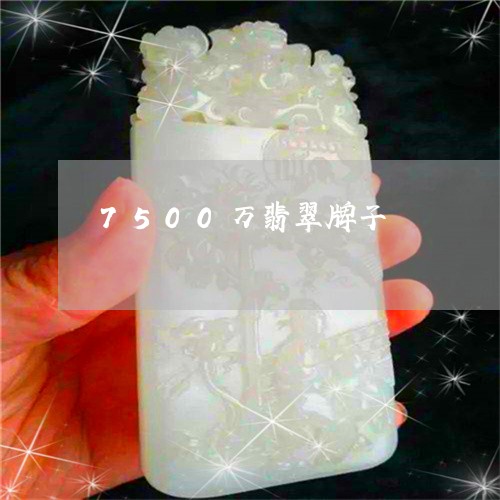 7500万翡翠牌子/2023060171712