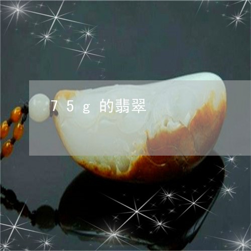 75g的翡翠/2023032137260 75g的翡翠/2023032137260