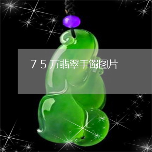 75万翡翠手镯图片/2023060174059