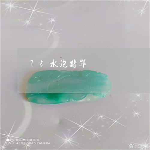 75水泡翡翠/2023032104037 75水泡翡翠/2023032104037