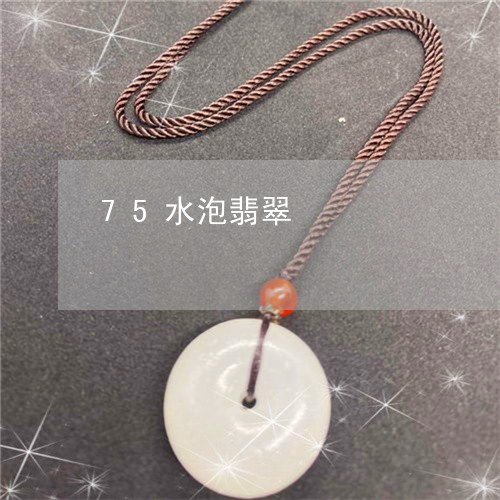 75水泡翡翠/2023032159583 75水泡翡翠/2023032159583