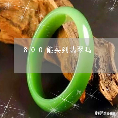 800能买到翡翠吗/2023060138240