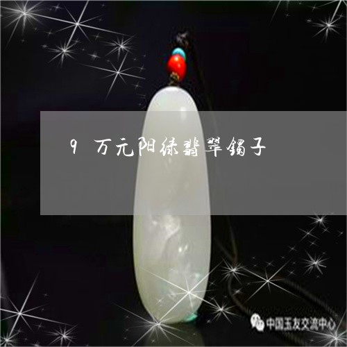 9万元阳绿翡翠镯子/2023060271383