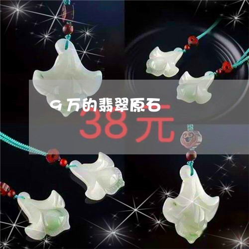 9万的翡翠原石/2023022528060 9万的翡翠原石/2023022528060