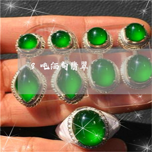 9吨缅甸翡翠/2023032115059 9吨缅甸翡翠/2023032115059