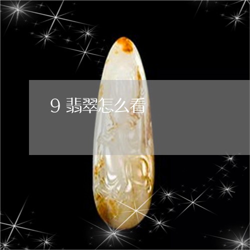 9翡翠怎么看/2023032175937 9翡翠怎么看/2023032175937