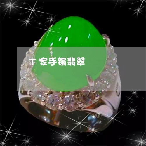 T家手镯翡翠/2023032159472 T家手镯翡翠/2023032159472