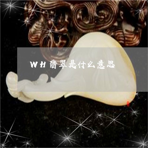 WH翡翠是什么意思/2023060239261