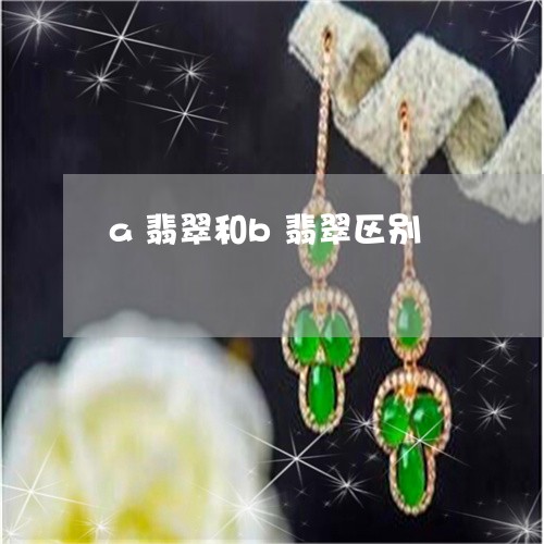 a翡翠和b翡翠区别/2023042581626 a翡翠和b翡翠区别/2023042581626