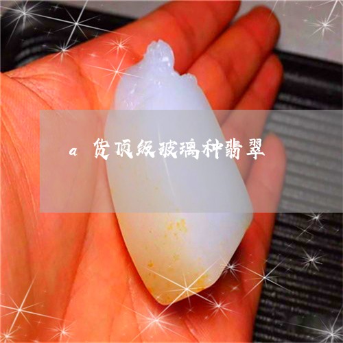 a货顶级玻璃种翡翠/2023060227296