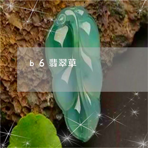 b6翡翠草/2023071530371