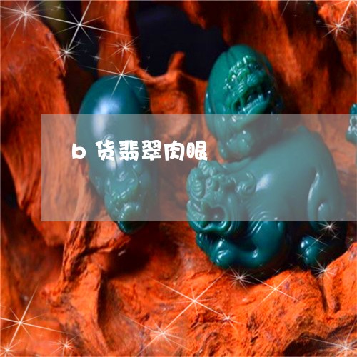 b货翡翠肉眼/2023032173605