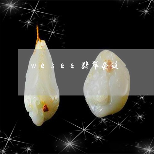 wesee翡翠套链/2023042584714 wesee翡翠套链/2023042584714