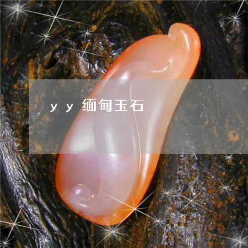 yy缅甸玉石/2023032114816