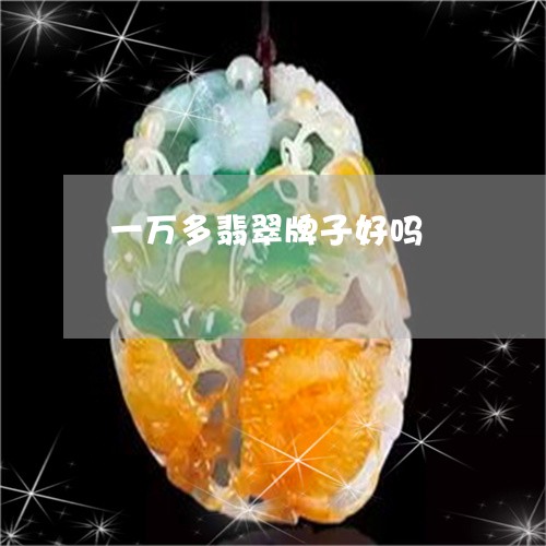 一万多翡翠牌子好吗/2023060225052