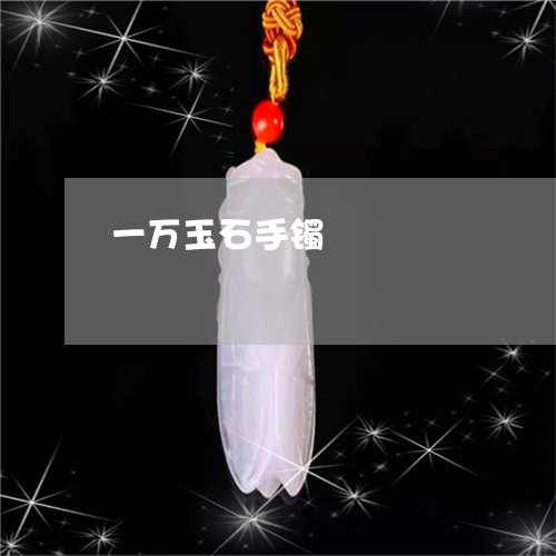 一万玉石手镯/2023032169513 一万玉石手镯/2023032169513