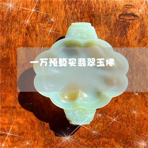 一万预算买翡翠玉佛/2023060173723