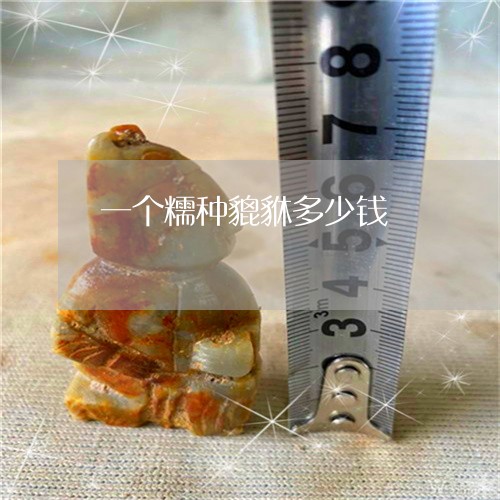 一个糯种貔貅多少钱/2023060140373