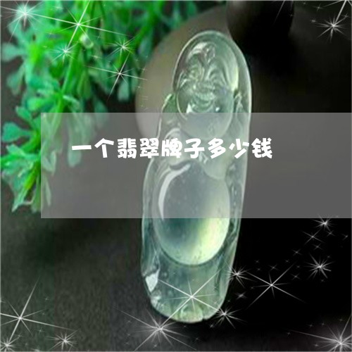 一个翡翠牌子多少钱/2023060215836