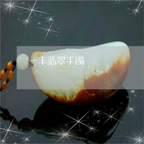 一丰翡翠手镯/2023032143939 一丰翡翠手镯/2023032143939
