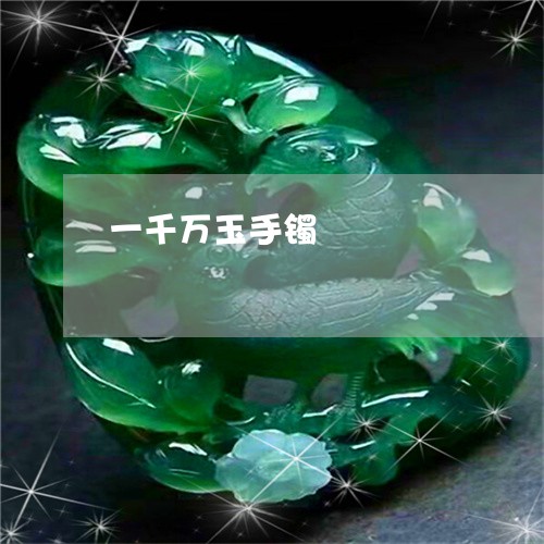 一千万玉手镯/2023032076170 一千万玉手镯/2023032076170