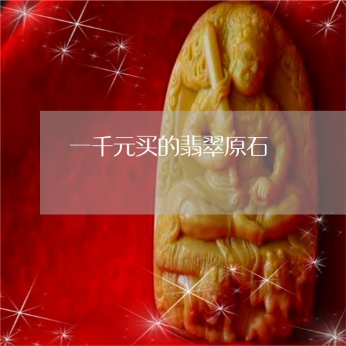 一千元买的翡翠原石/2023060163928 一千元买的翡翠原石/2023060163928