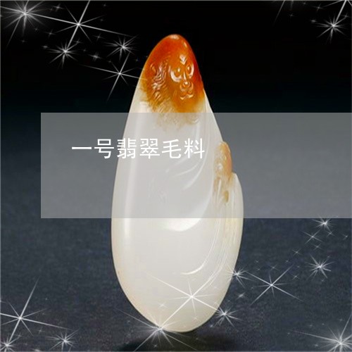 一号翡翠毛料/2023032048140 一号翡翠毛料/2023032048140