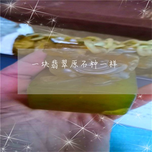一块翡翠原石种一样/2023060107049 一块翡翠原石种一样/2023060107049