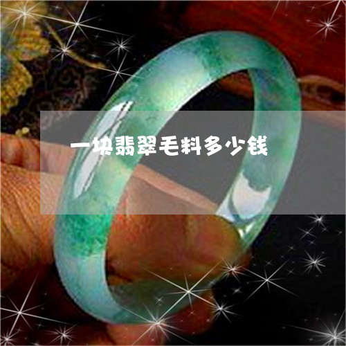 一块翡翠毛料多少钱/2023060104947