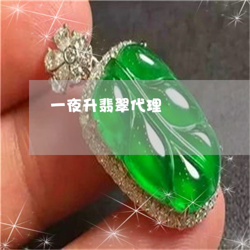一夜升翡翠代理/2023022576370 一夜升翡翠代理/2023022576370