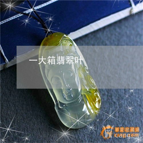 一大箱翡翠叶/2023032104815