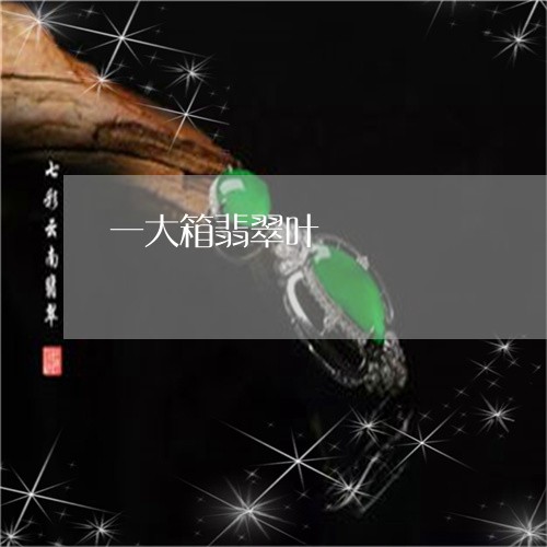 一大箱翡翠叶/2023032195848