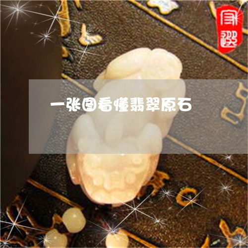 一张图看懂翡翠原石/2023060157372