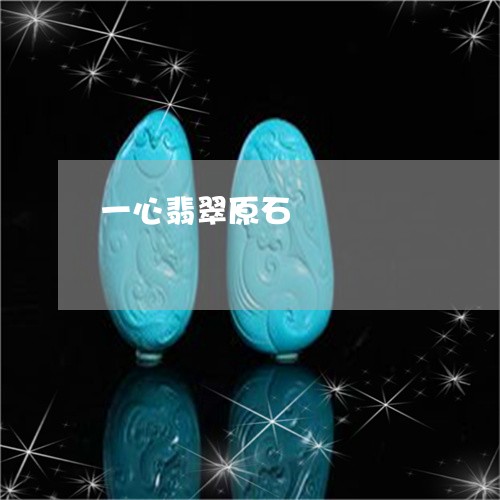 一心翡翠原石/2023032020572 一心翡翠原石/2023032020572