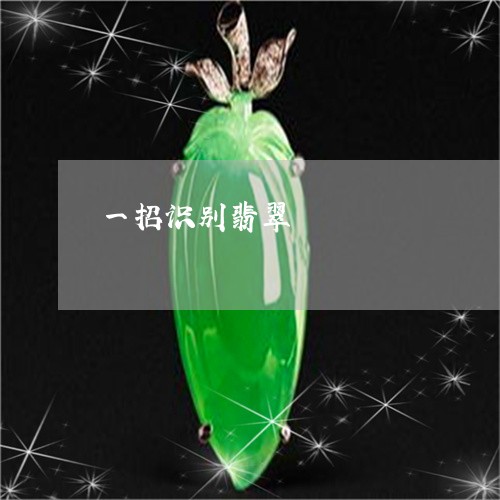 一招识别翡翠/2023032186816 一招识别翡翠/2023032186816