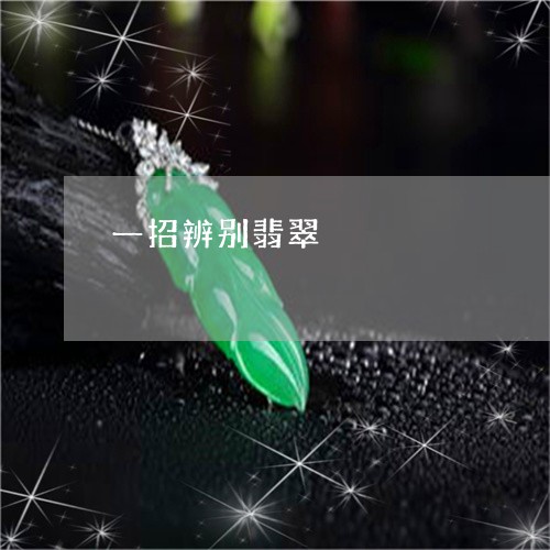 一招辨别翡翠/2023032148378 一招辨别翡翠/2023032148378