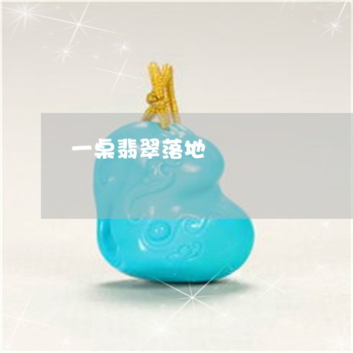 一桌翡翠落地/2023032092627 一桌翡翠落地/2023032092627