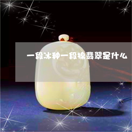 一段冰种一段棉翡翠是什么/2023061954046